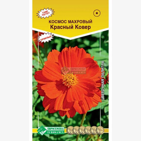 Космос махровый КРАСНЫЙ КОВЕР (0,1гр)/ Евросемена