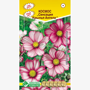 Космос СЕНСАЦИЯ Крылья Ангела 0,1 гр./ Евросемена