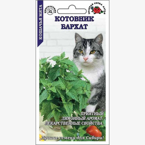 Котовник Бархат /Сотка/ 0,2г