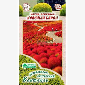 Кохия венечная Красный Барон/ Евросемена