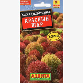 Кохия Красный шар 0,1г/ Аэлита