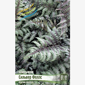 КОЧЕДЫЖНИК СИЛЬВЕР ФОЛЛС