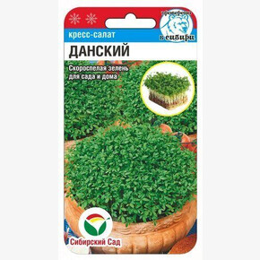 Кресс-салат Данский /СибСад