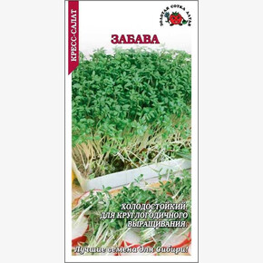 Кресс-салат Забава/ Сотка