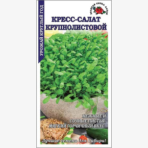 Кресс-салат Крупнолистовой /Сотка/ 1 г