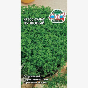 Кресс-салат Пучковый/ Седек