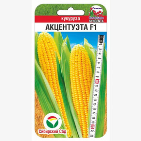 Кукуруза Акцентуэта 5шт/ Сибсад
