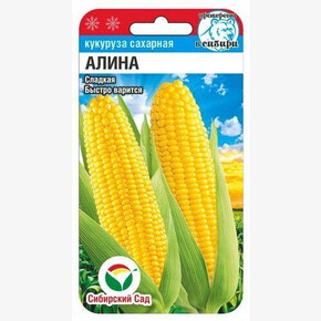Кукуруза Алина/ Сибсад