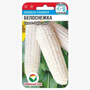 Кукуруза Белоснежка/ Сибсад