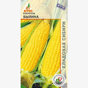 Кукуруза Былина 2г* КС, Россия, ран/ Агрос