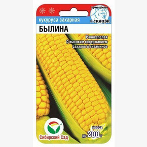 Кукуруза Былина 6шт/ Сибсад