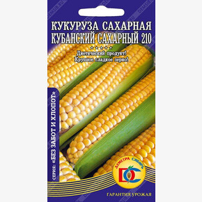 кукуруза Кубанский 210 /5 гр Дем Сиб/