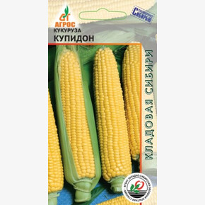 кукуруза Купидон