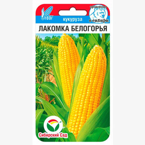 Кукуруза Лакомка Белогорья 6шт Сиб Сад