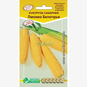 Кукуруза Лакомка Белогорья/ Евросемена