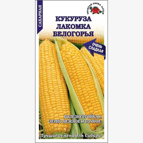 Кукуруза Лакомка Белогорья/ Сотка