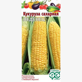 Кукуруза Леденец 10шт/ Гавриш