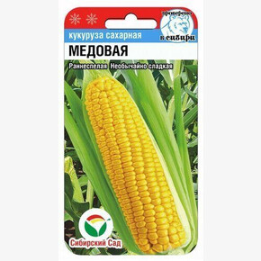 Кукуруза Медовая 6шт Сиб Сад