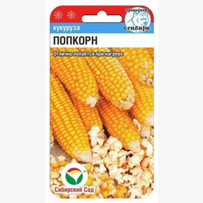 Кукуруза Попкорн 10шт/ Сибсад