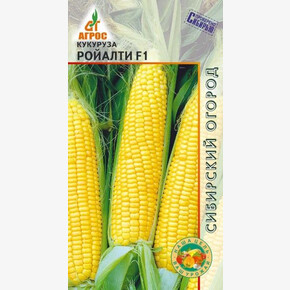 кукуруза Ройалти F1