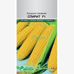 Кукуруза сахарная Спирит/ Евросемена