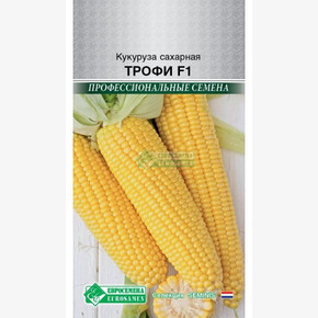 Кукуруза сахарная Трофи F1/ Евросемена