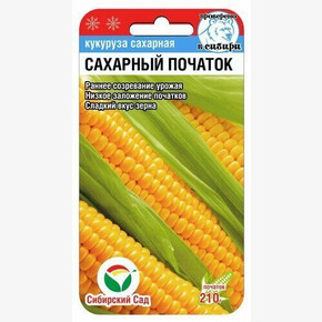 Кукуруза Сахарный початок 6шт/ Сибсад
