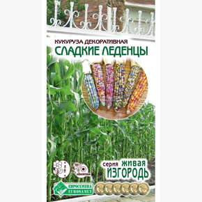Кукуруза СЛАДКИЕ ЛЕДЕНЦЫ декоративная 10 шт/ Евросемена
