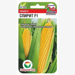 Кукуруза Спирит F1 5шт Сиб Сад