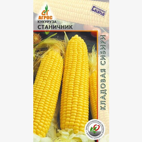 Кукуруза Станичник /Агрос 2г