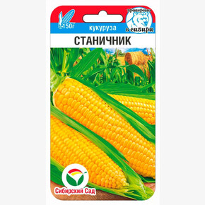 Кукуруза Станичник 6шт Сиб Сад