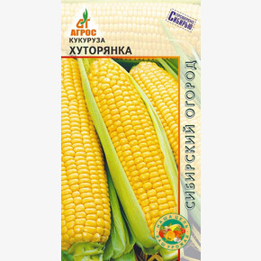 Кукуруза Хуторянка 2г* КС, Россия, ран/ Агрос
