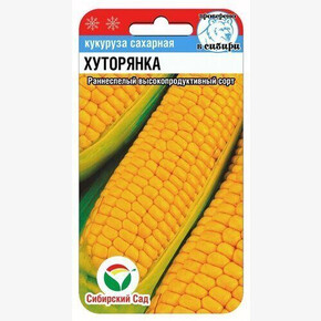 Кукуруза Хуторянка 6шт Сиб сад