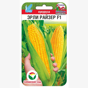 Кукуруза Эрли Райзер 5шт/ Сибсад