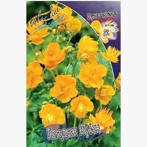 КУПАЛЬНИЦА ГОЛДЕН КУИН