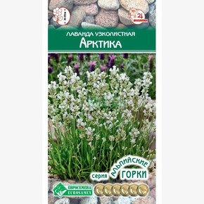 Лаванда АРКТИКА 5 шт/ Евросемена