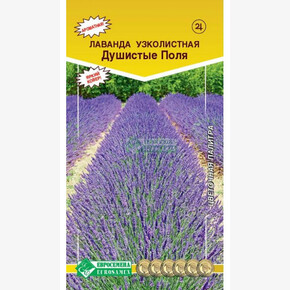 Лаванда Душистые Поля 20 шт/ Евросемена
