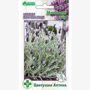 Лаванда МЯТНЫЙ ЛЕД (7 шт)/ Евросемена
