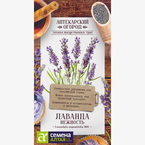 Лаванда Нежность/ Семена Алтая