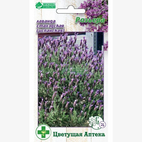 Лаванда РОЗЬЕРА (0,05 гр)/ Евросемена