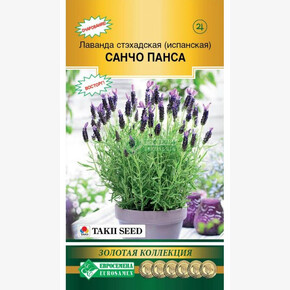 Лаванда САНЧО ПАНСА (5 шт)/ Евросемена