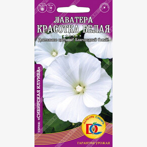 Лаватера Красотка белая /0,1 гр Дем Сиб/