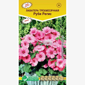 Лаватера Руби Регис/ Евросемена