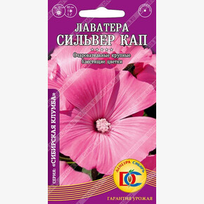 Лаватера Сильвер Кап /0,2 гр Дем Сиб/