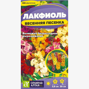 Лакфиоль Весенняя песенка/ Семена Алтая 0,05 гр. двулетник