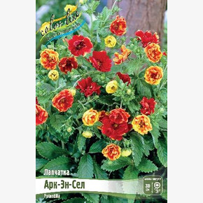 ЛАПЧАТКА АРК-ЭН-СЕЛ