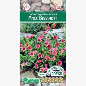 Лапчатка МИСС ВИЛЛМОТТ 0,1 гр/ Евросемена