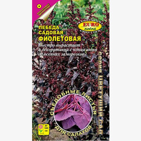 Лебеда Фиолетовая/ Аэлита Экстра