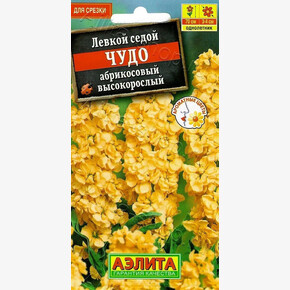 Левкой Чудо абрикосовый/ Аэлита