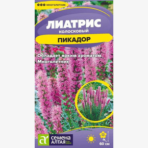 Лиатрис Пикадор/ Семена Алтая 0,1 гр.